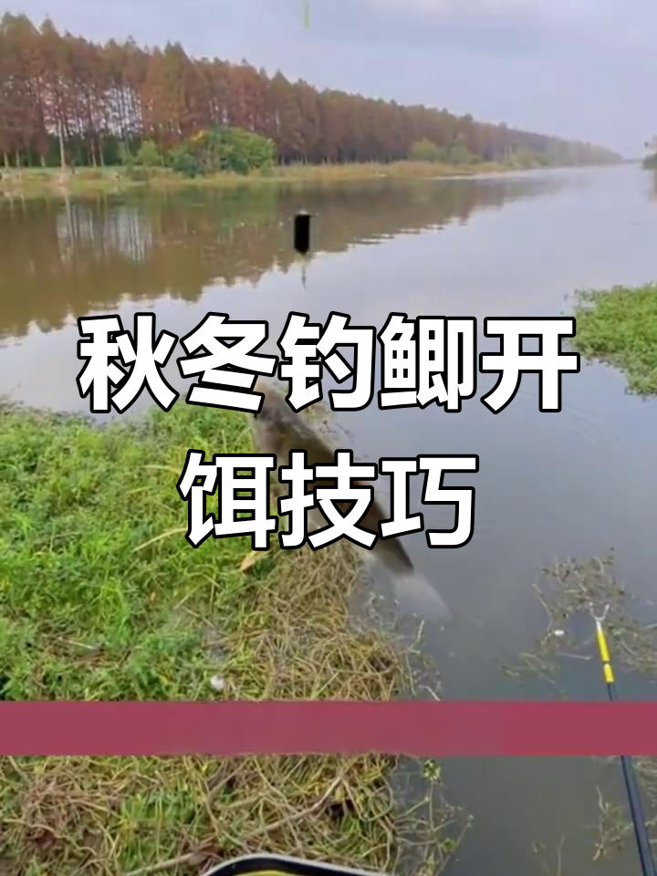 深秋到早春钓鲫鱼必备饵料配方,腥香雾化全到位