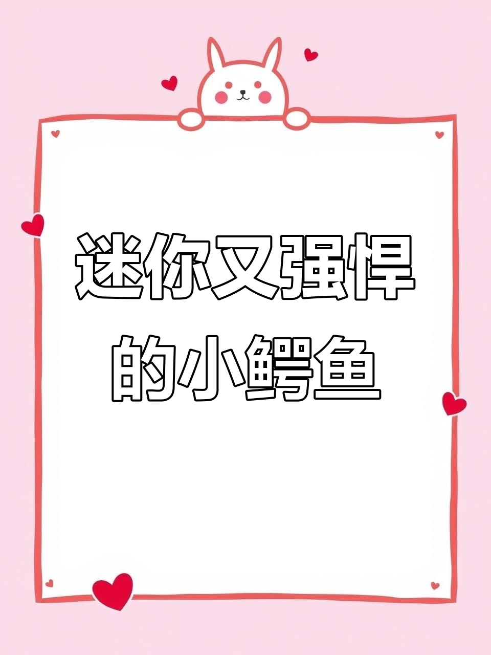 小巧却强大的扬子鳄,温柔又凶猛的迷你小鳄鱼