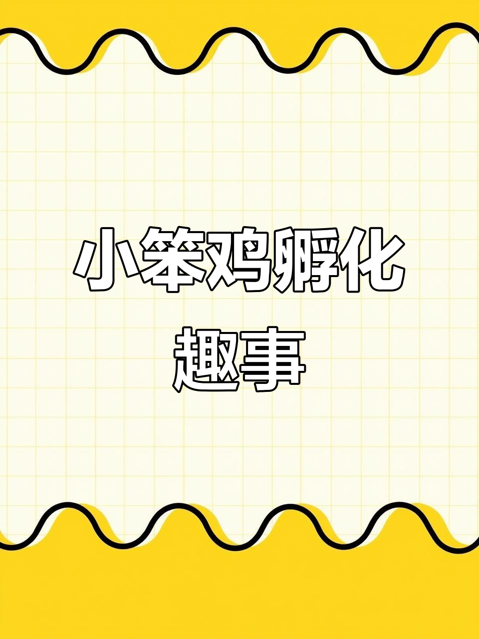 农村散养小笨鸡孵化记：水床孵蛋全过程揭秘