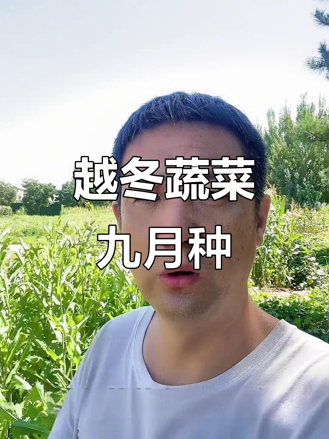 九月份种植越冬蔬菜,选对品种事半功倍