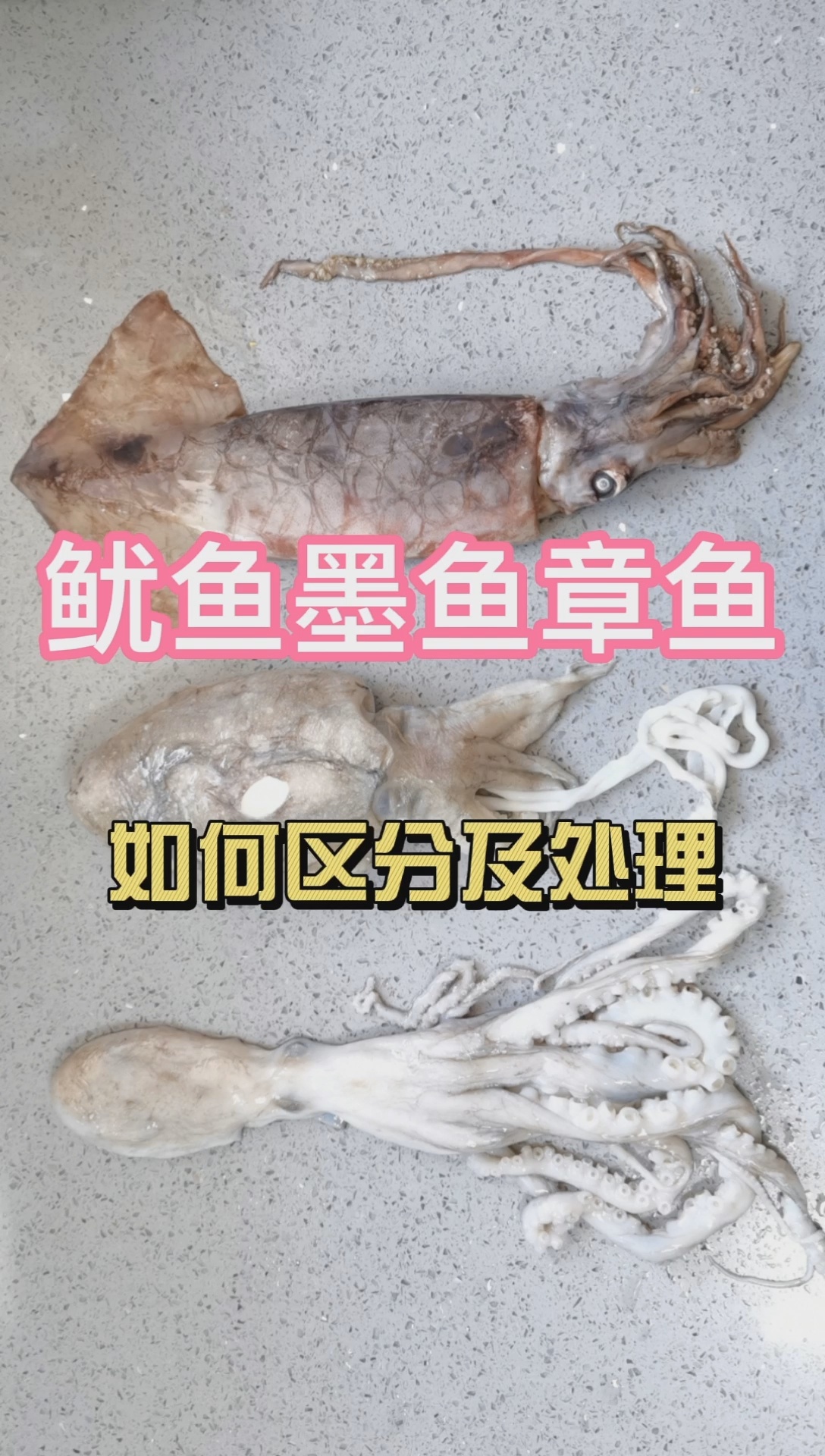 如何快速处理墨鱼