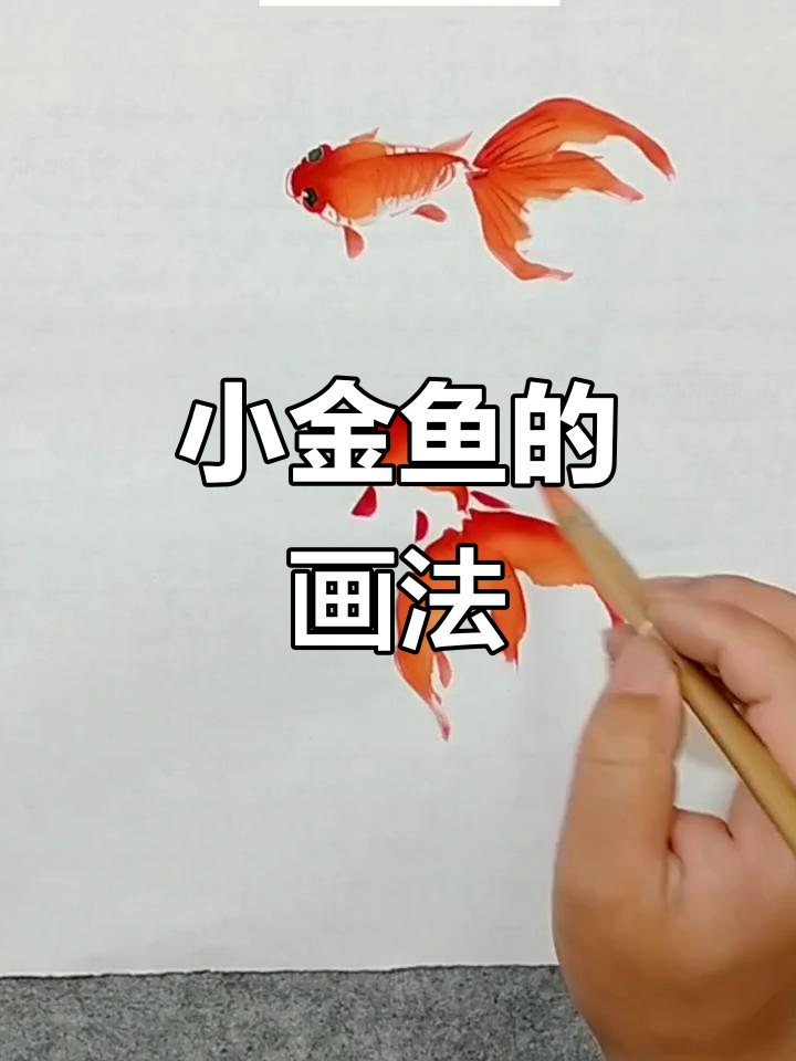 轻松画出灵动小金鱼,步骤简单又有趣