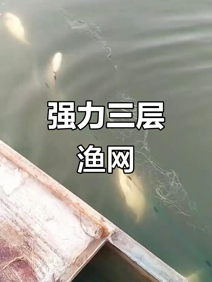三层粘鱼网,轻松捕捞水中的每一尾