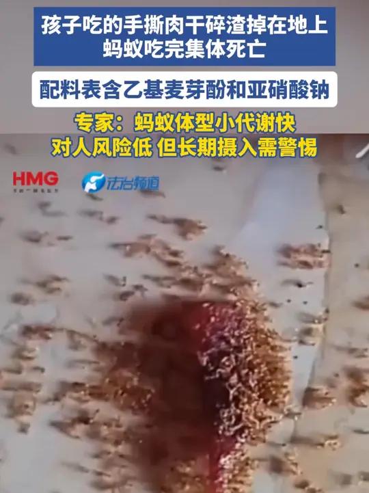 孩子吃的手撕肉干碎渣掉在地上 蚂蚁吃完集体死亡 配料表含乙基麦芽酚和亚硝酸钠 专家：蚂蚁体