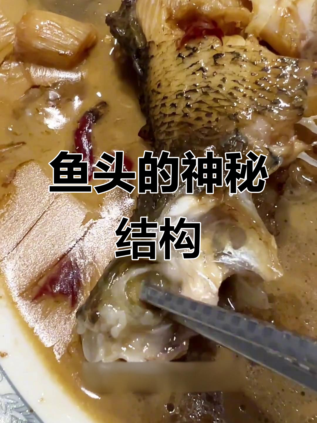 鱼头里的奇怪结构，像虫子又非虫，眼睛附近的神秘组织