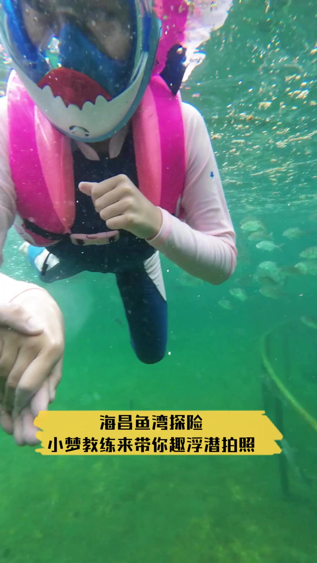 海昌鱼湾探险,小梦教练来带你趣浮潜拍照