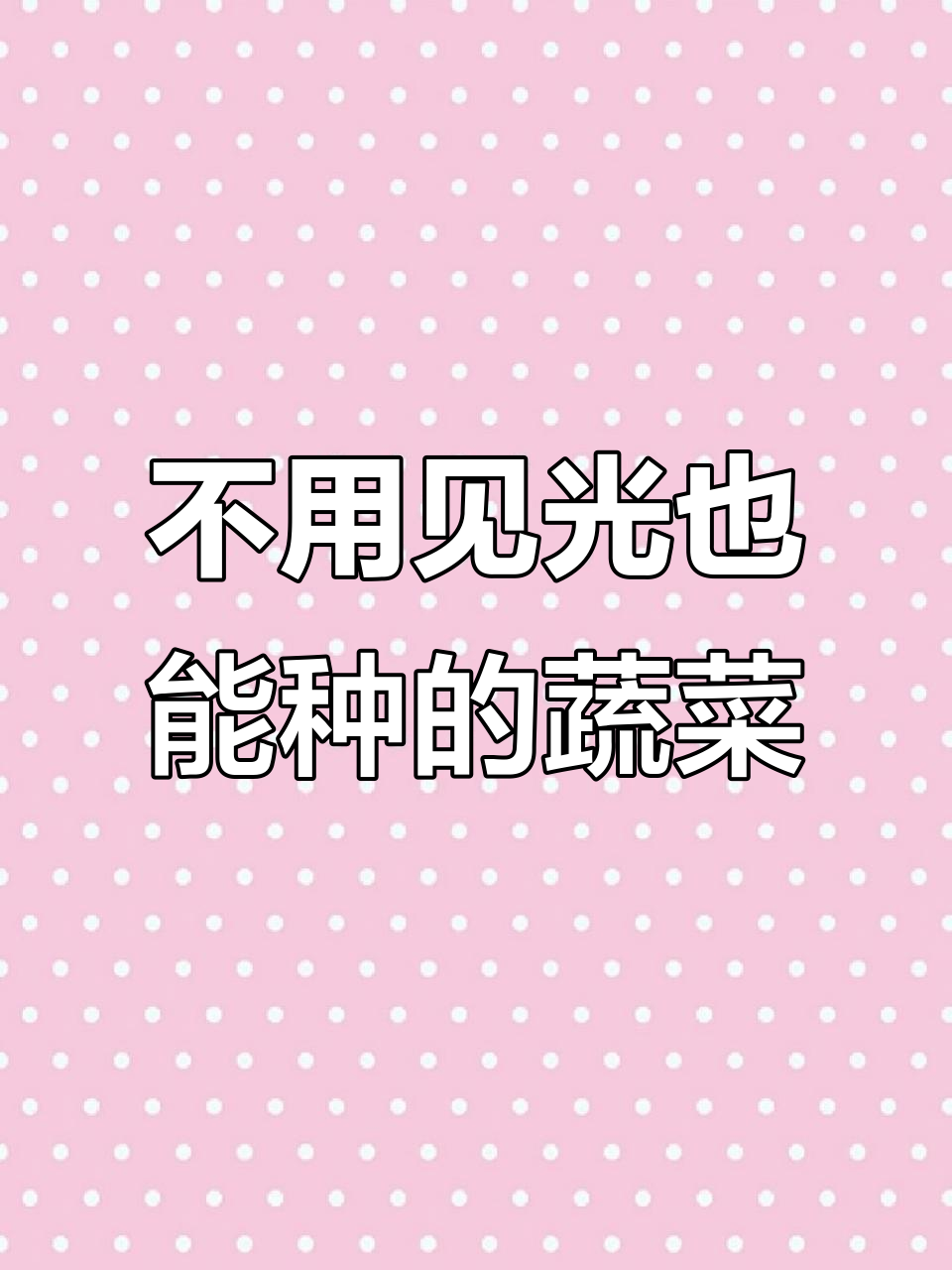 金玉兰菜：无需光照施肥，阳台小院轻松种