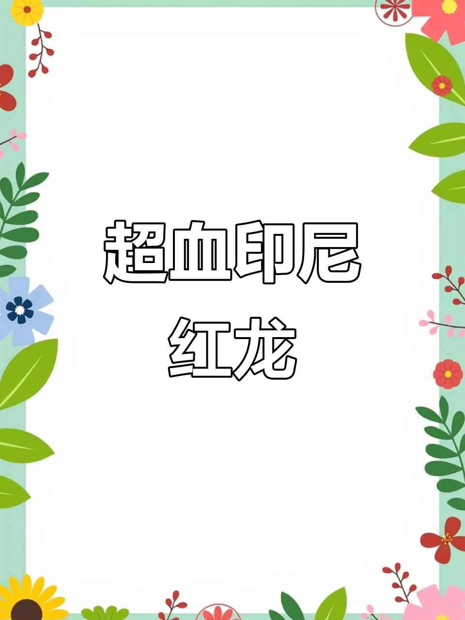 印尼红龙魅力尽显,超血红龙惊艳登场!