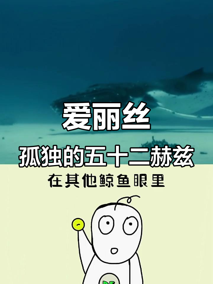 世界上最孤独的鲸鱼，用五十二赫兹的声音寻找同伴
