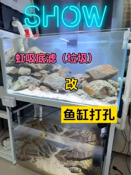 虹吸底滤是垃圾 水漫金山一次以后我决定打孔改底滤。虹吸底滤避免不了破虹的噪音,想要避免噪音