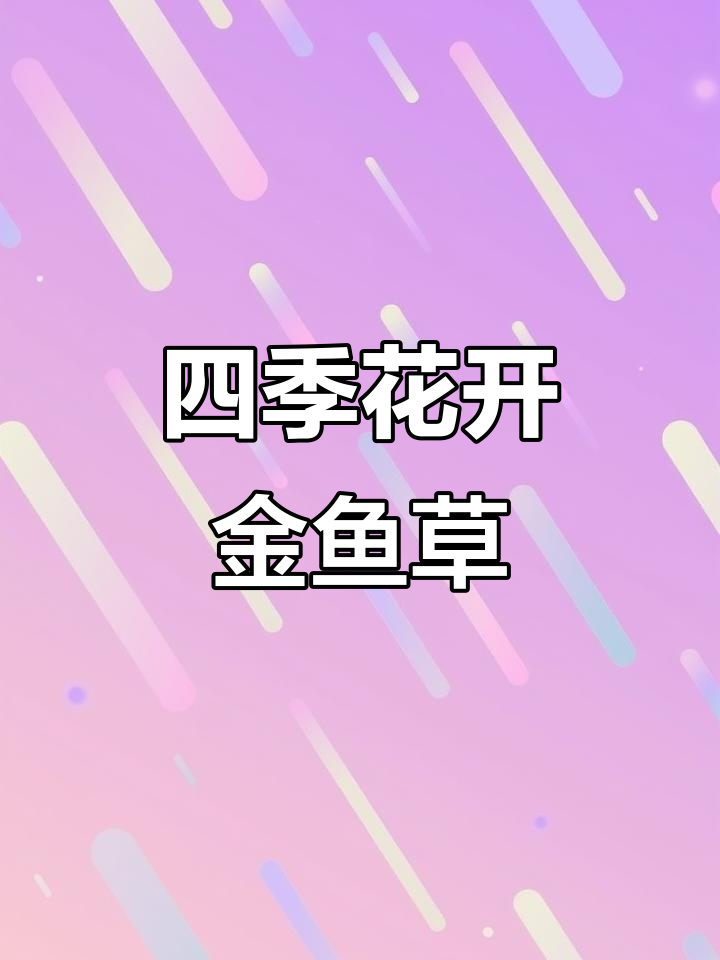 金鱼草四季开花,春播几粒种子,全年都能欣赏美丽花朵