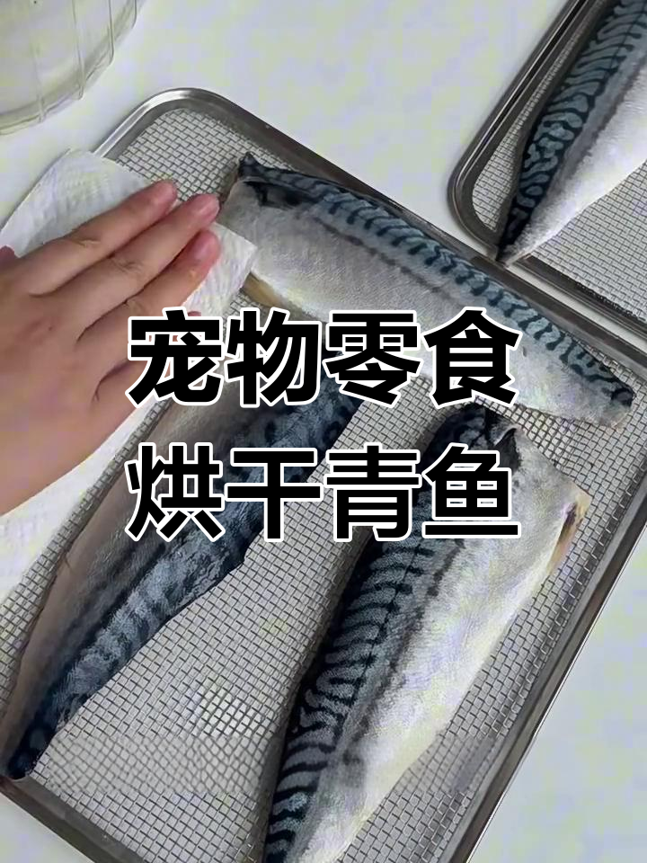 自制烘干鲭鱼片,狗狗超爱吃!