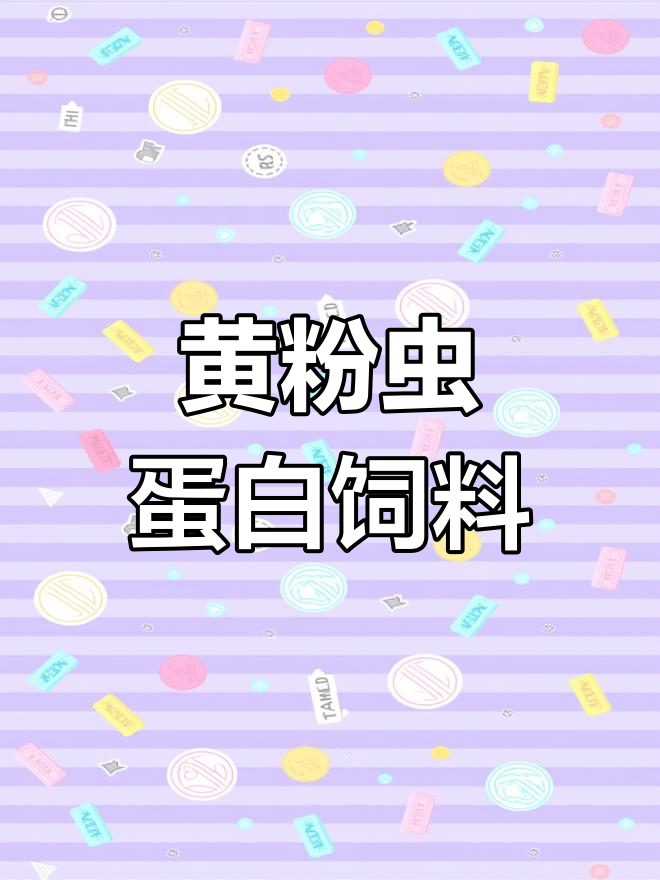 面包虫:从幼虫到成虫,蛋白质丰富可做饲料