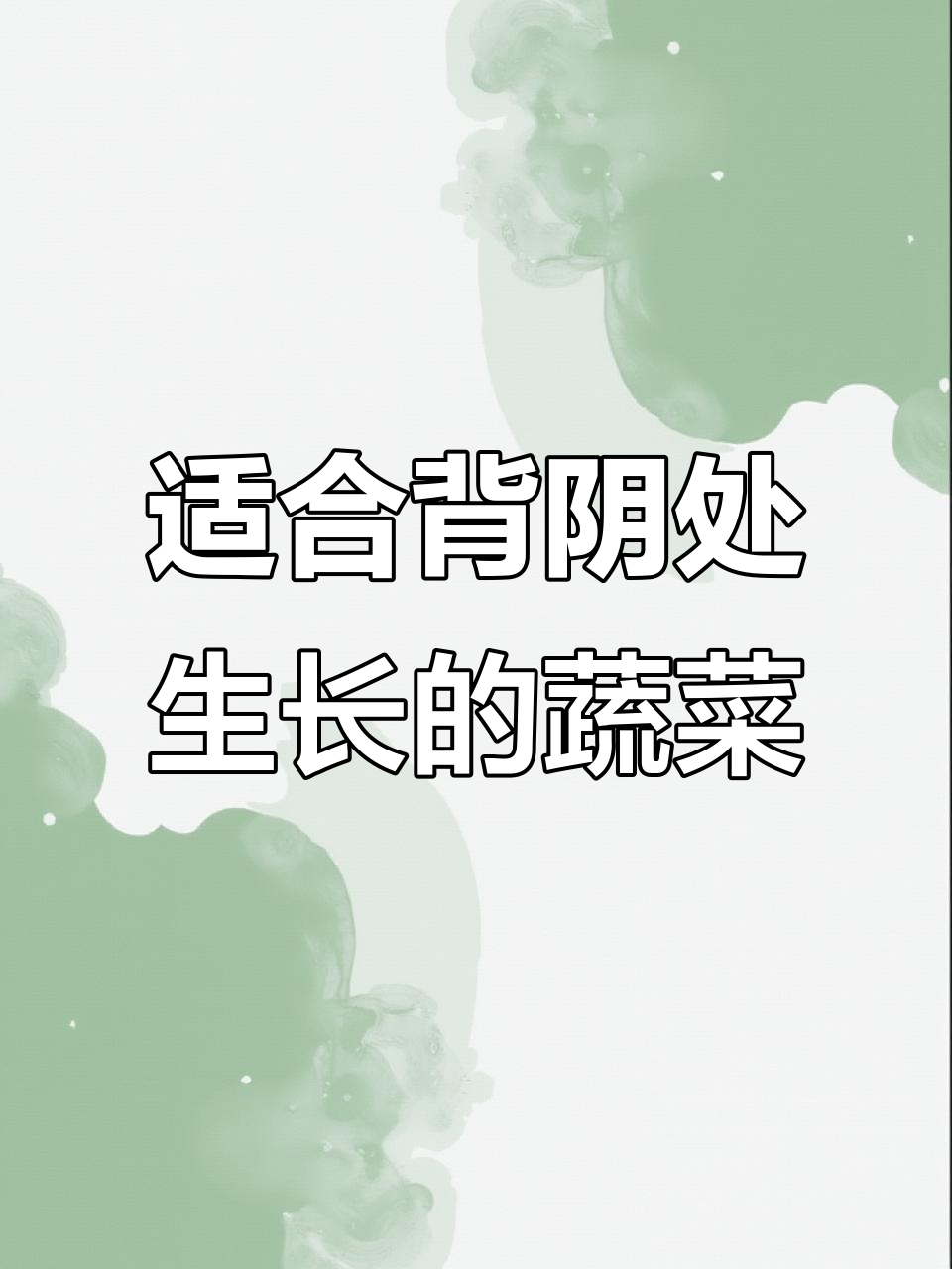 立秋后这些耐阴蔬菜,没有阳光也能长得好