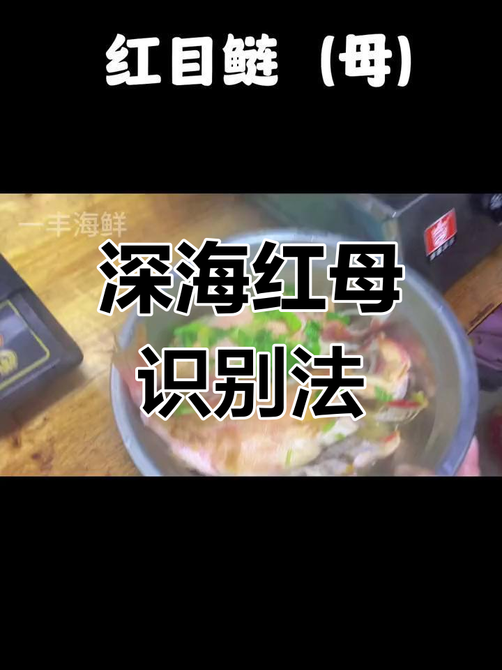 红目鲢辨识小技巧,快来分享你的看法!