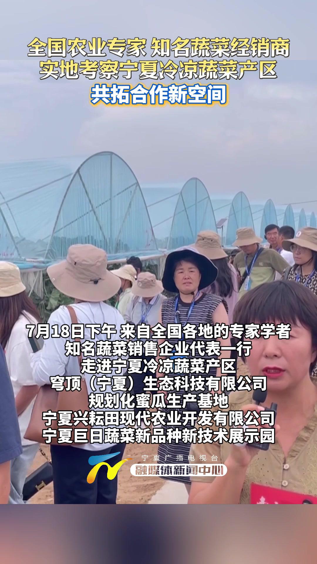 全国农业专家、知名蔬菜经销商实地考察宁夏冷凉蔬菜产区共拓合作新空间 宁夏 冷凉蔬菜（记者：