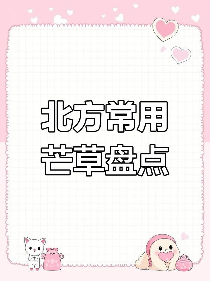 北方冬季芒草大揭秘:常见品种与过冬技巧