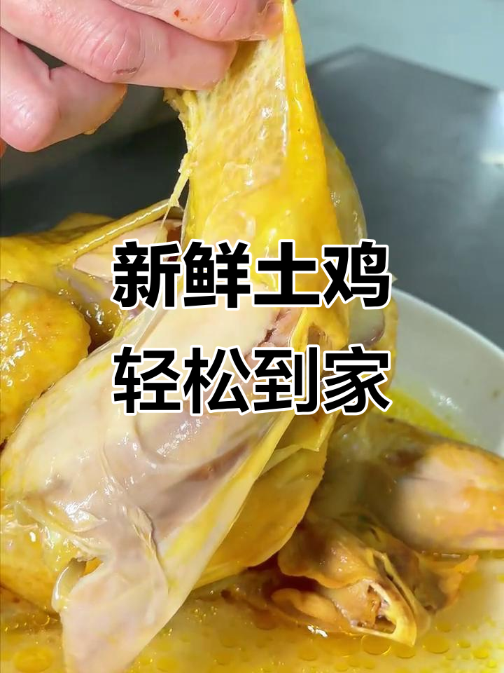 想吃新鲜土鸡?高山放养,清蒸美味无添加