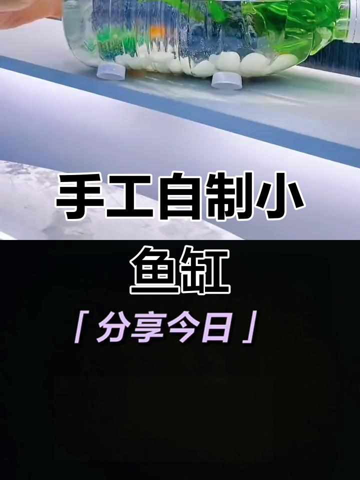 自制小水泵，打造创意鱼缸，轻松DIY！