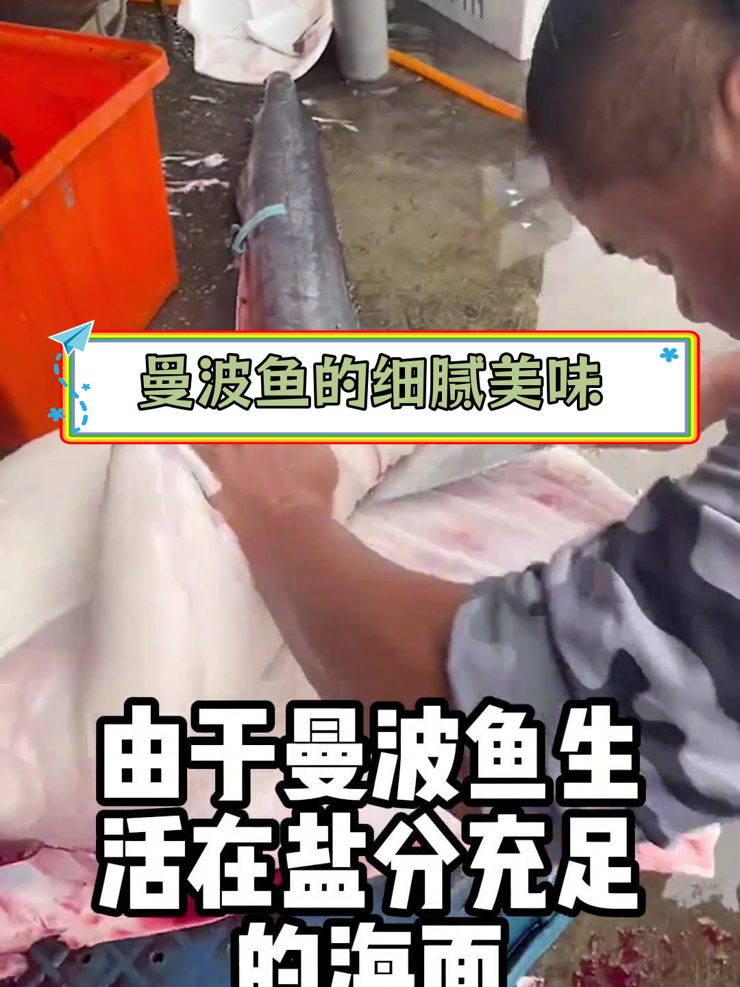 曼波鱼:台湾独特海鲜的刀工之美