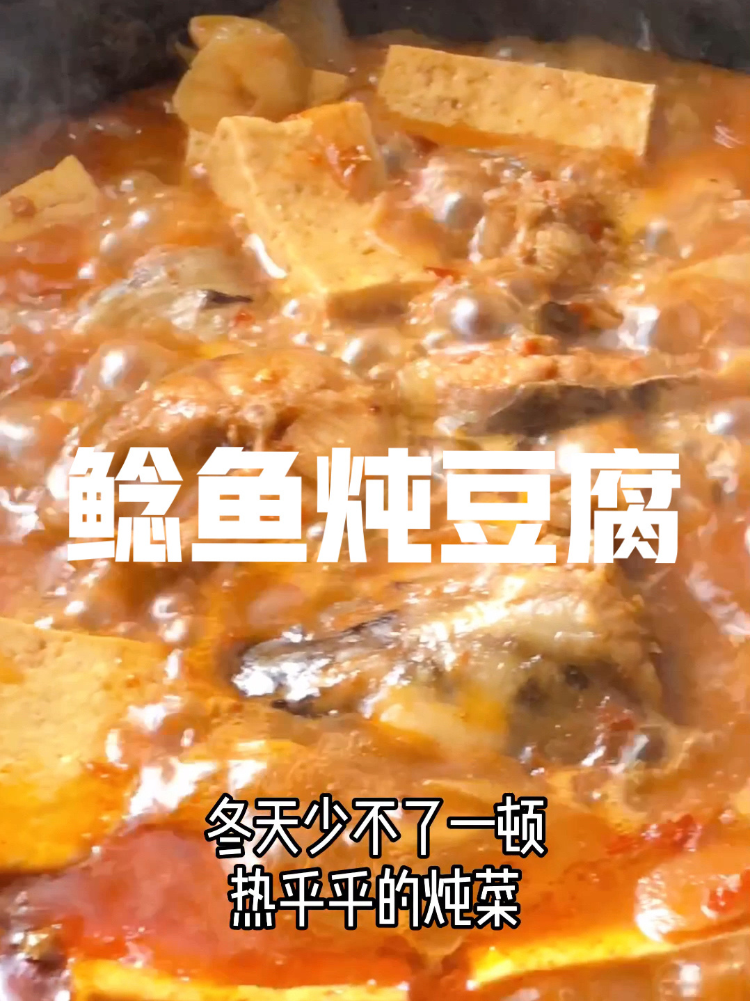 鲶鱼炖豆腐|热乎乎的炖菜最适合冬天了