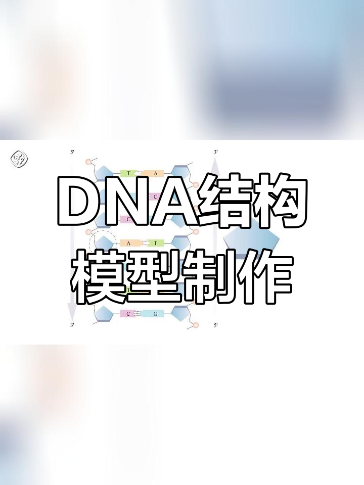 制作DNA双螺旋模型教程
