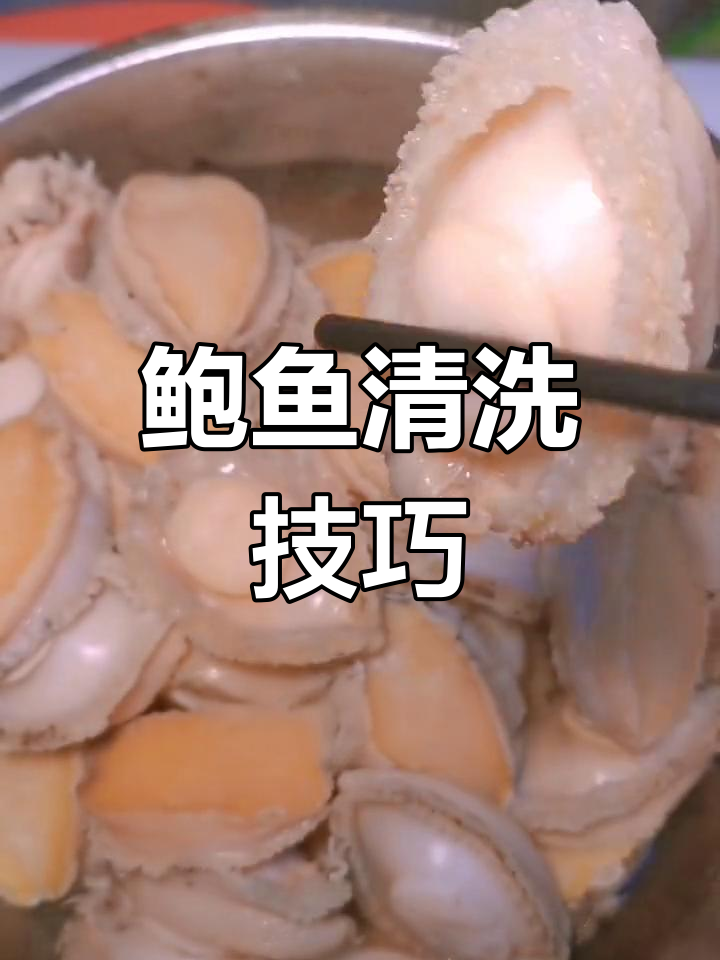活鲍鱼清洗全攻略,轻松去污