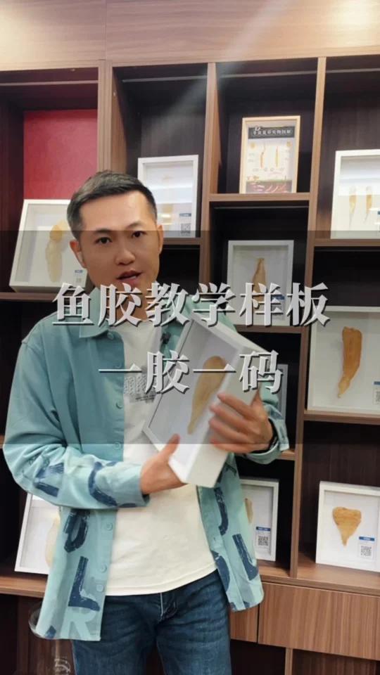 鱼胶教学样版