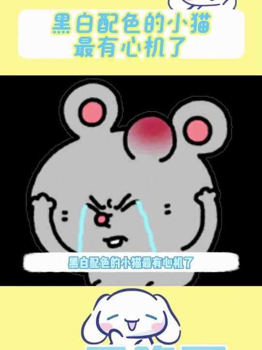 哈基猫!你……小猫小猫咪能有什么坏心眼奶牛猫猫猫前半段素材来源网络后半段来源于