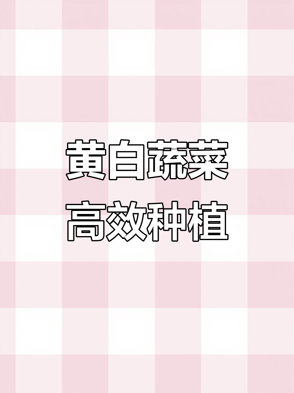 良森武田23夏黄白蔬菜种植技巧,助力农业发展
