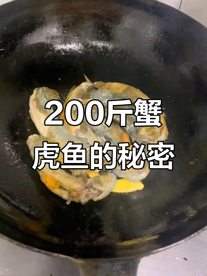蟹虎鱼终于吃上，两百斤的它竟然有这些功效