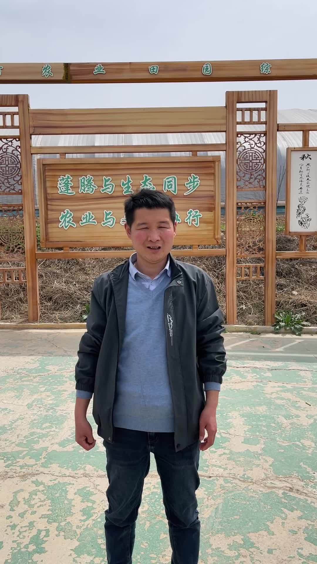 西安白鹿原上的蓬腾田园,农文旅基地,有一大片智慧化的鱼菜共生大棚!鱼菜共生 西安白鹿原 小