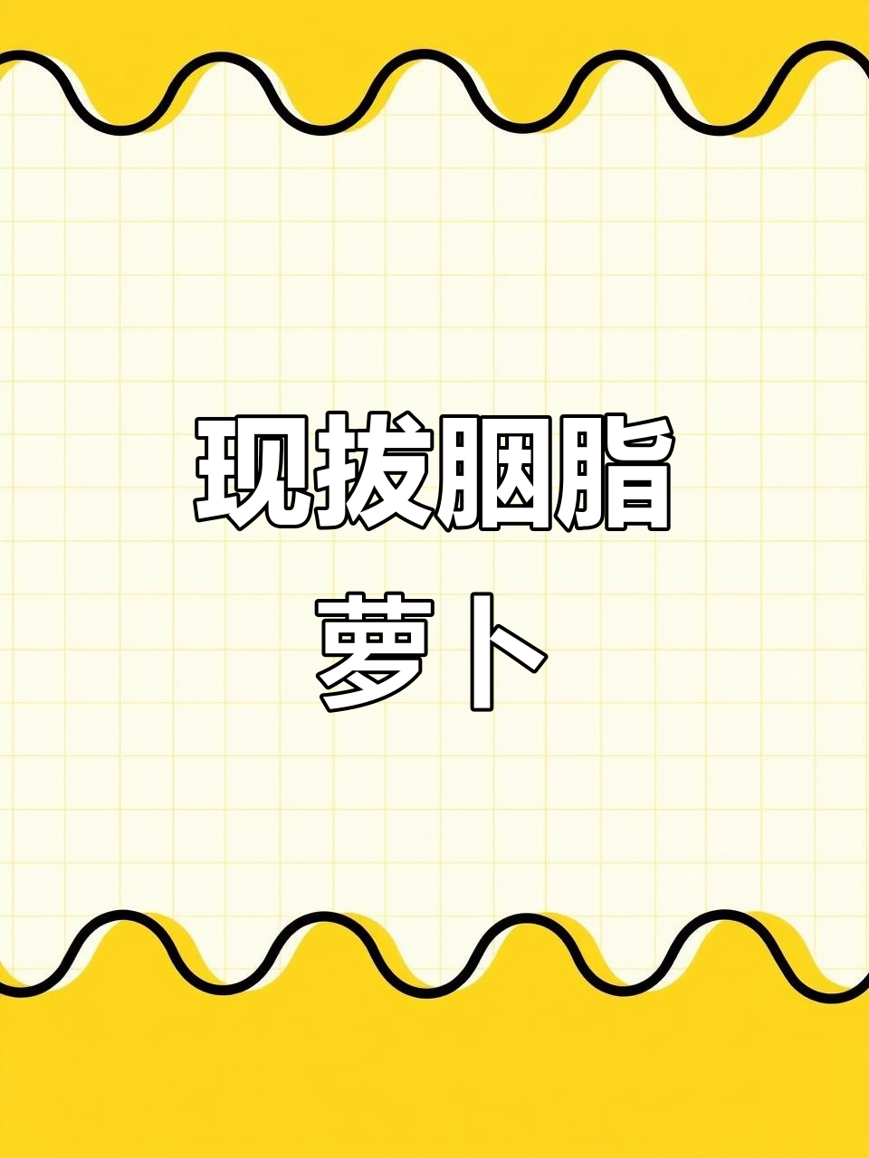 胭脂红皮白心萝卜,新鲜现拔,应季美味不容错过