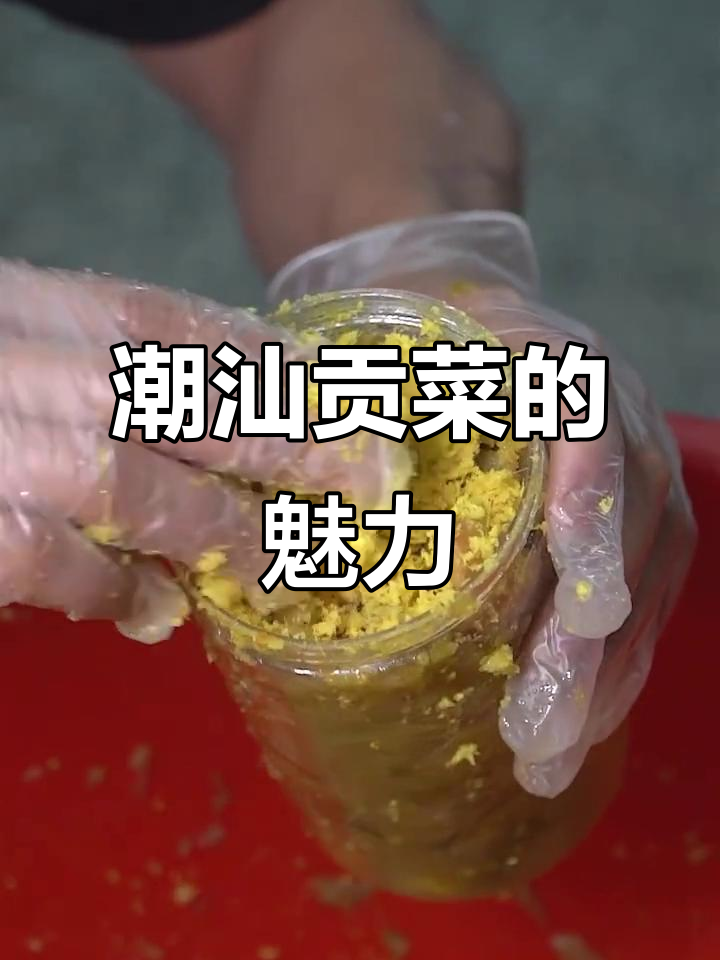 潮汕贡菜:从新鲜芥菜到独特风味,口感惊艳让人无法抗拒