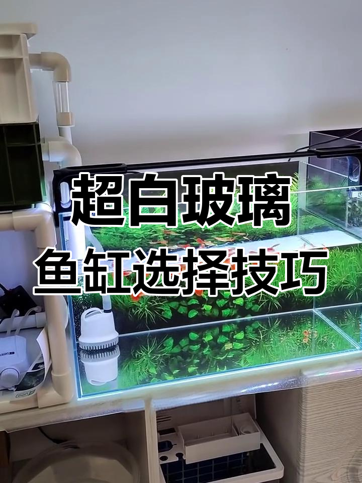 金晶超白玻璃鱼缸选购指南,五零六零型号全解析