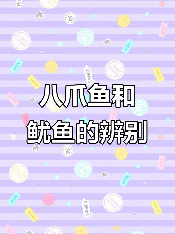 八爪鱼还是鱿鱼?创意手绘大挑战