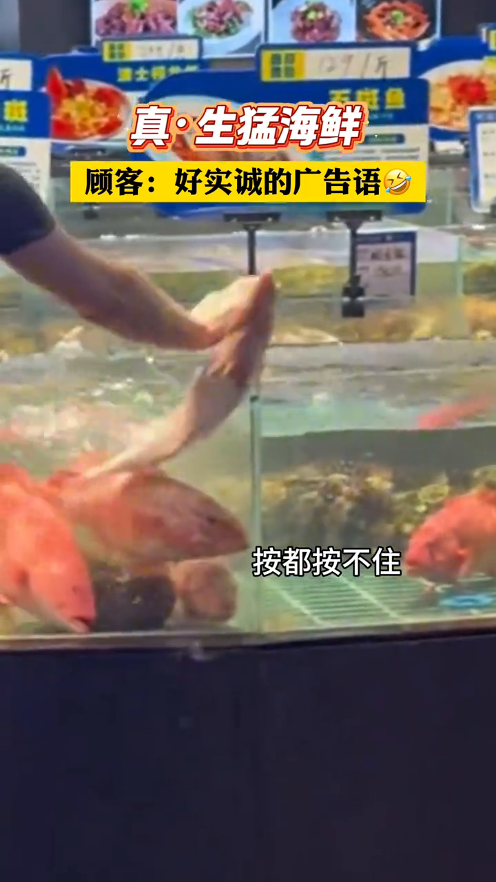 遇上真·生猛海鲜了!顾客:店家诚不欺我,广告语一点不假