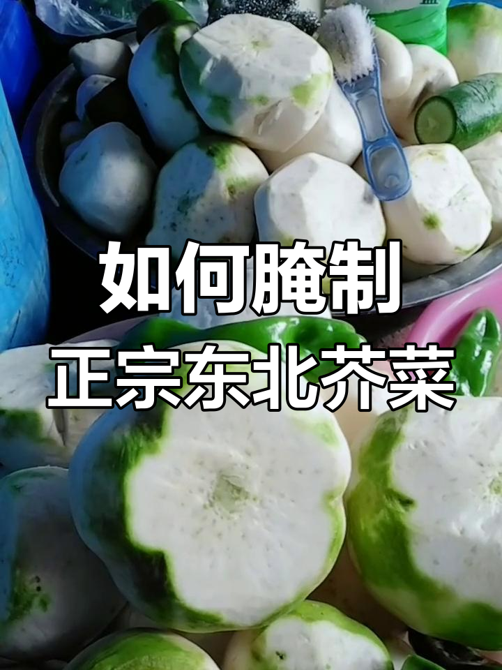 教你腌制又白又脆的东北芥菜嘎咸菜,简单步骤轻松搞定