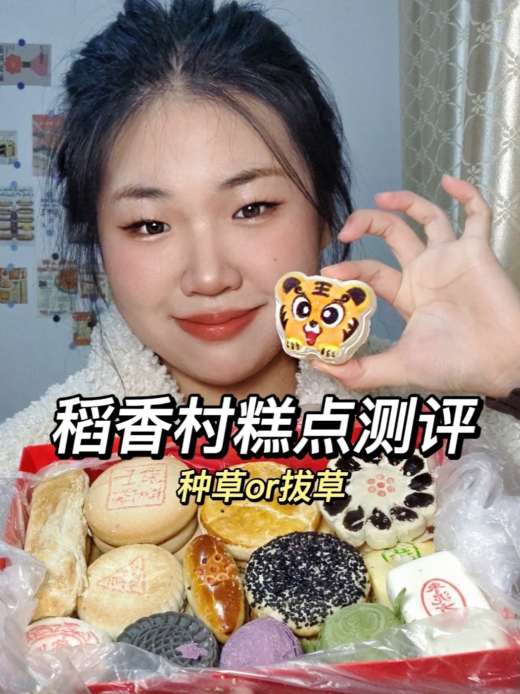 北京特产稻香村糕点测评来啦!