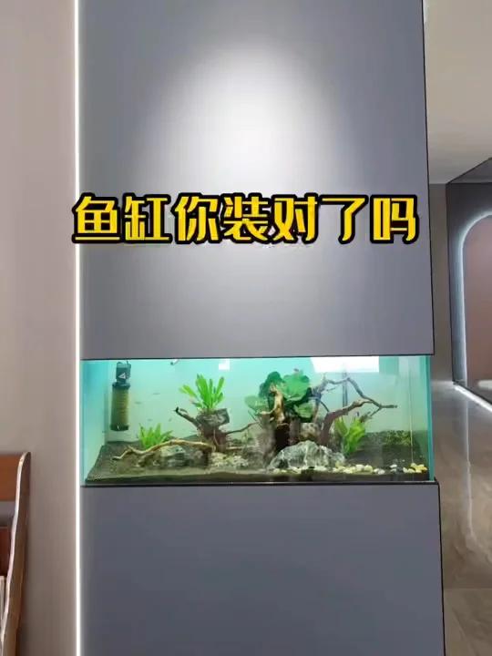 鱼缸你装对了吗?这只是其中一种做法