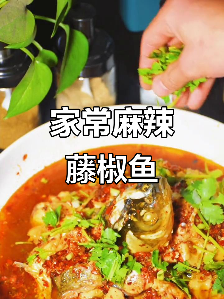麻辣藤椒鱼,家常美味让你停不下来