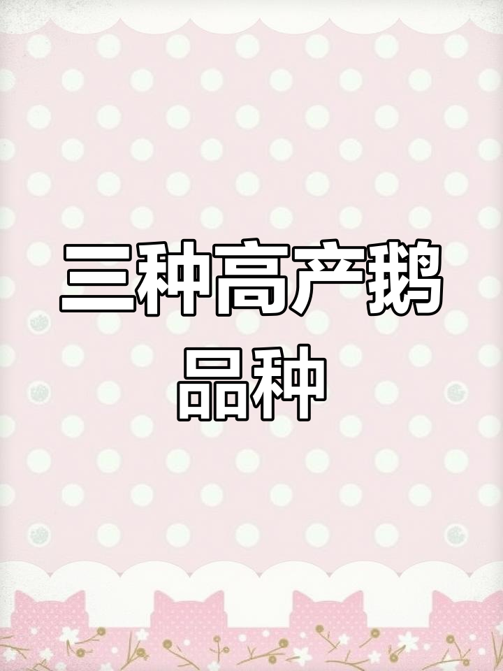 这三种鹅最能下蛋,养过才知道!