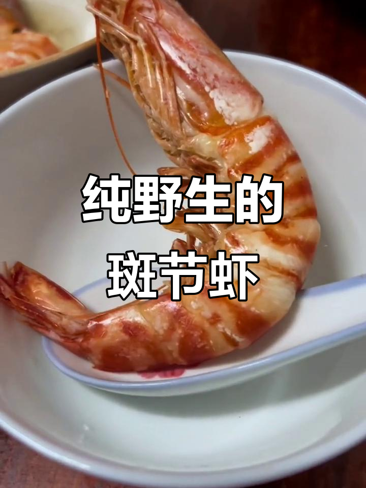 吕四渔港野生竹节虾,鲜美无比,与养殖基围虾大不同