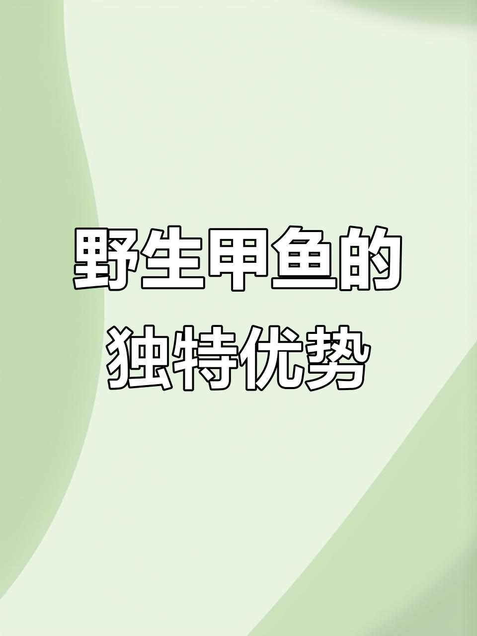 野生甲鱼与养殖的区别：活力、颜色和营养全解析