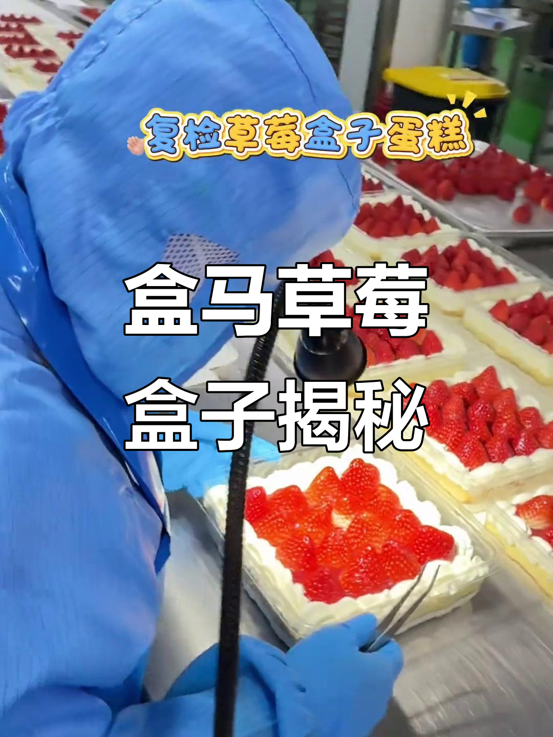 探秘盒马草莓盒子工厂,红颜草莓蛋糕制作全过程