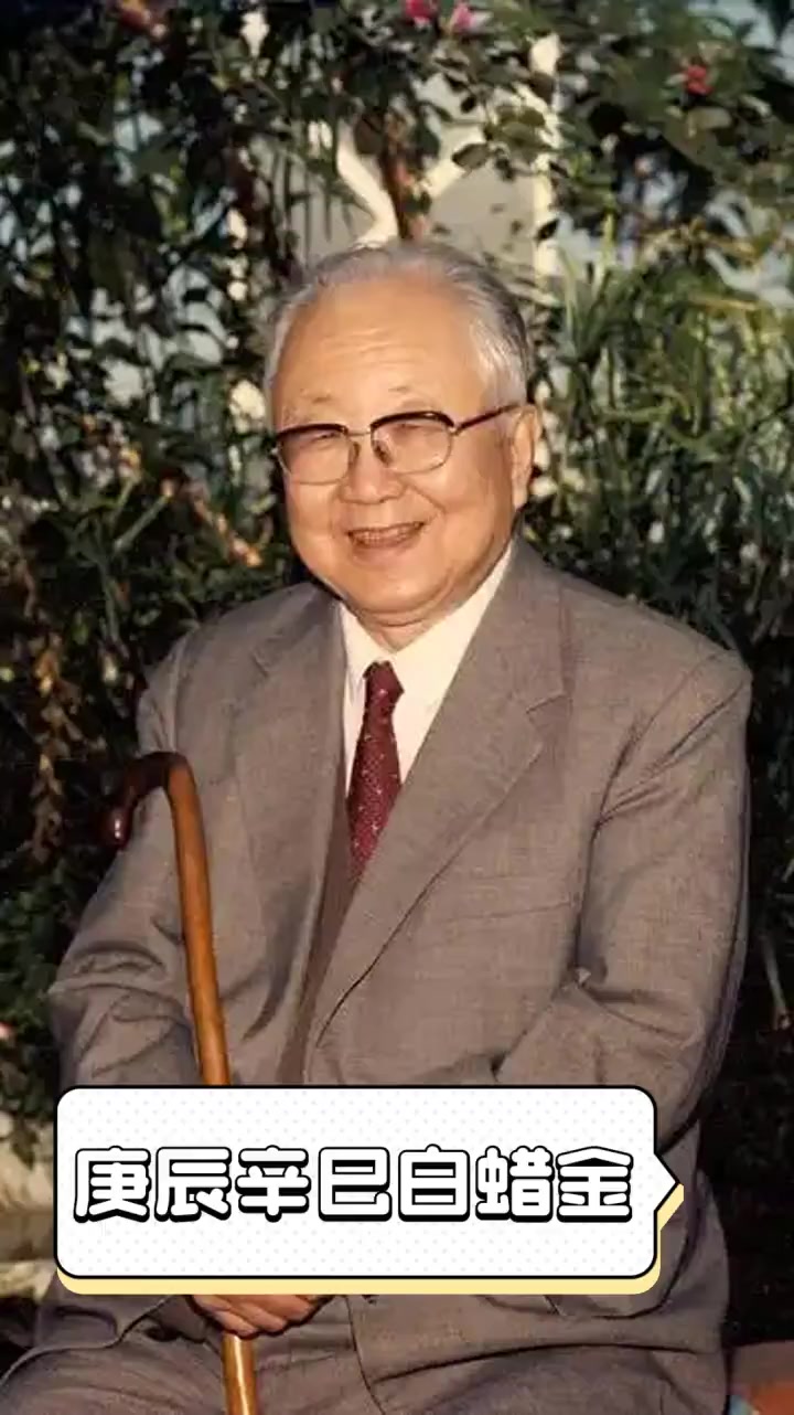 庚辰辛巳白蜡金