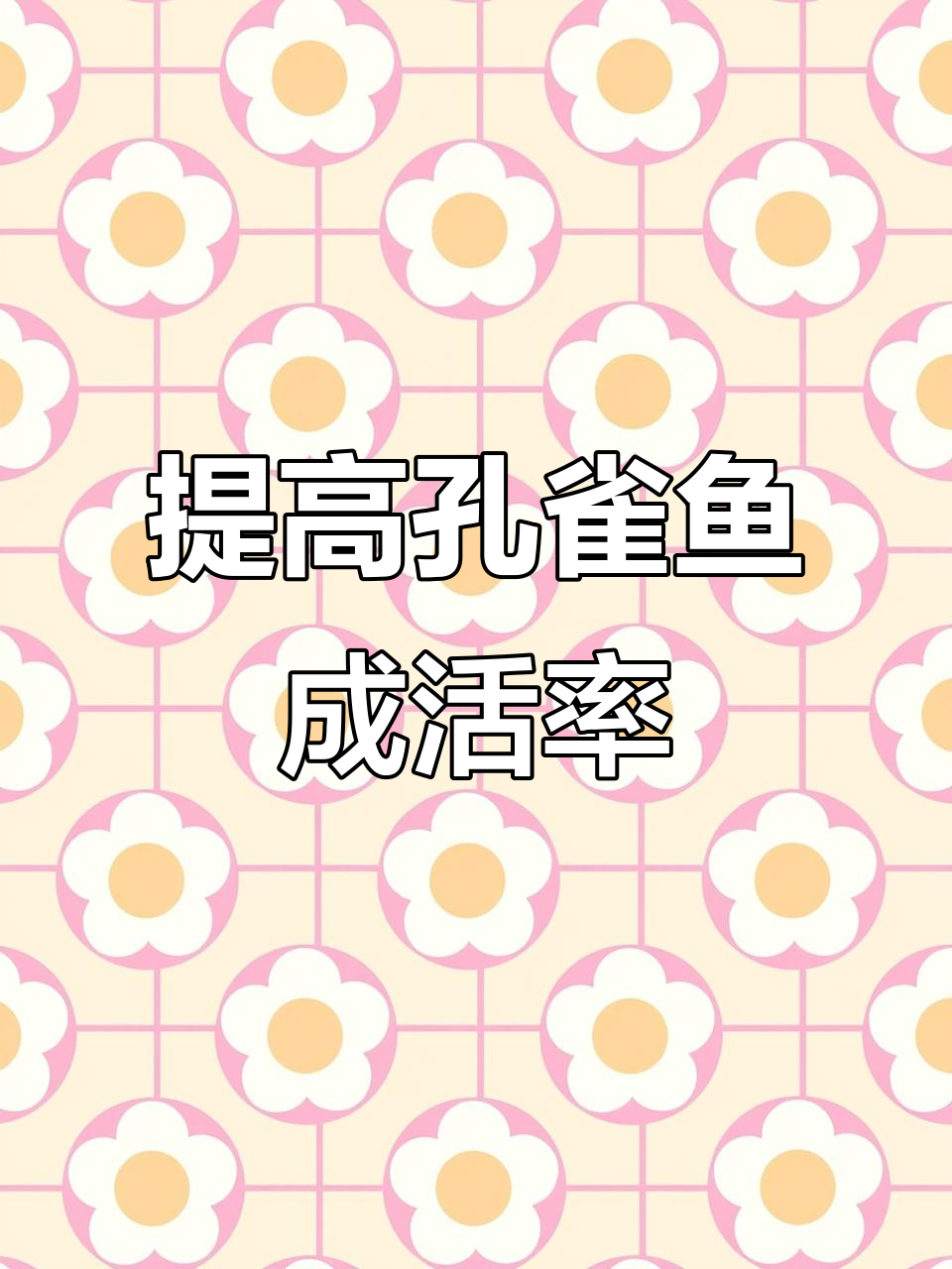 孔雀鱼养殖技巧:提高成活率的秘诀