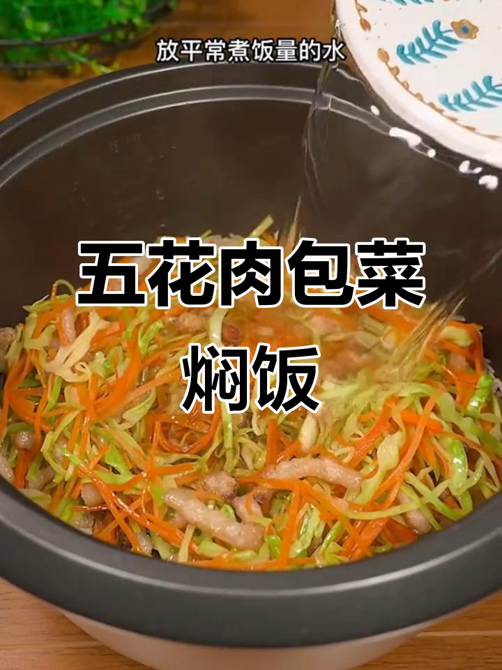 包菜焖饭,简单又美味!五花肉、胡萝卜一炒就成
