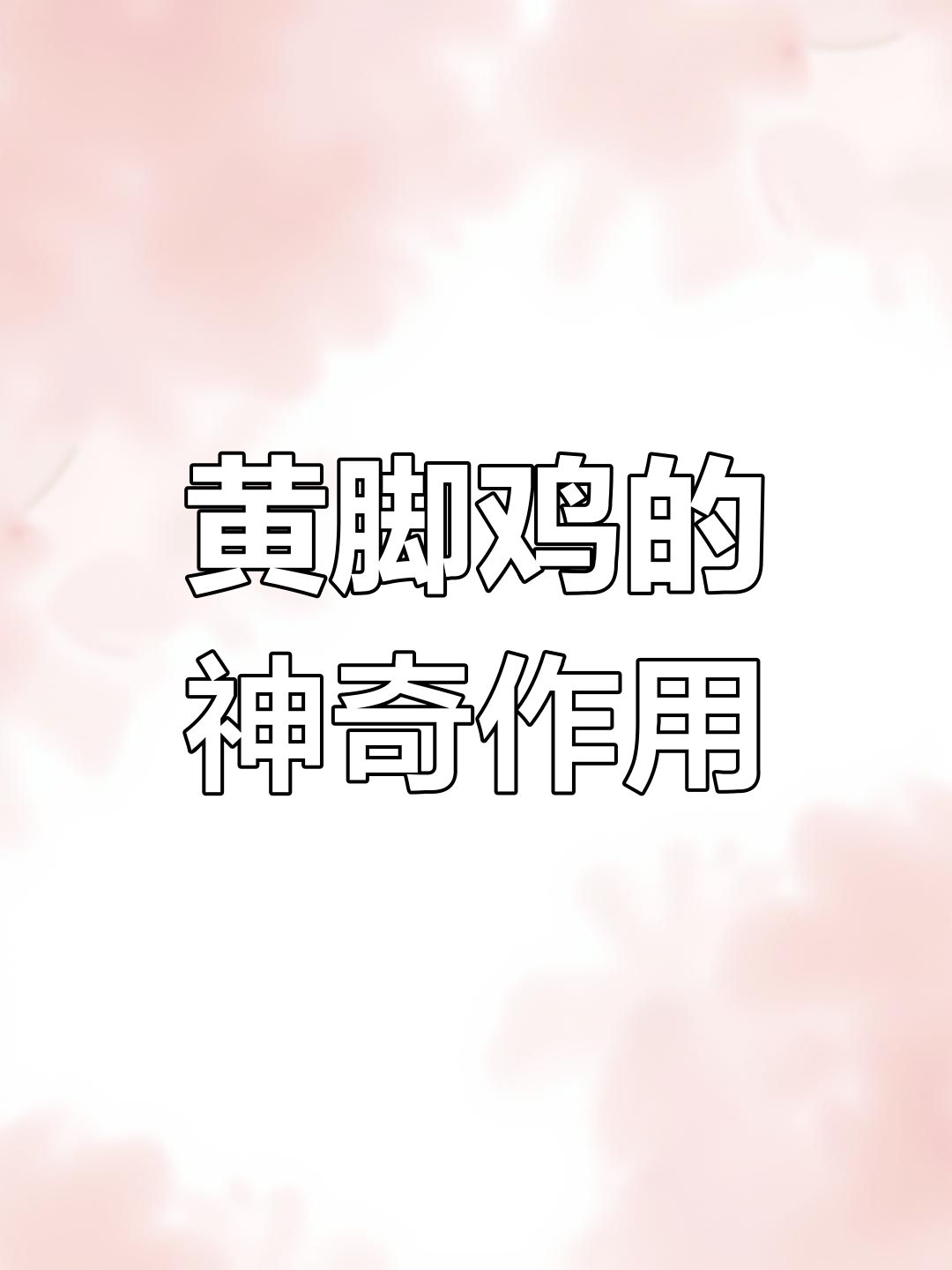 黄脚鸡:一种神奇植物,根部炖汤助孩子恢复健康