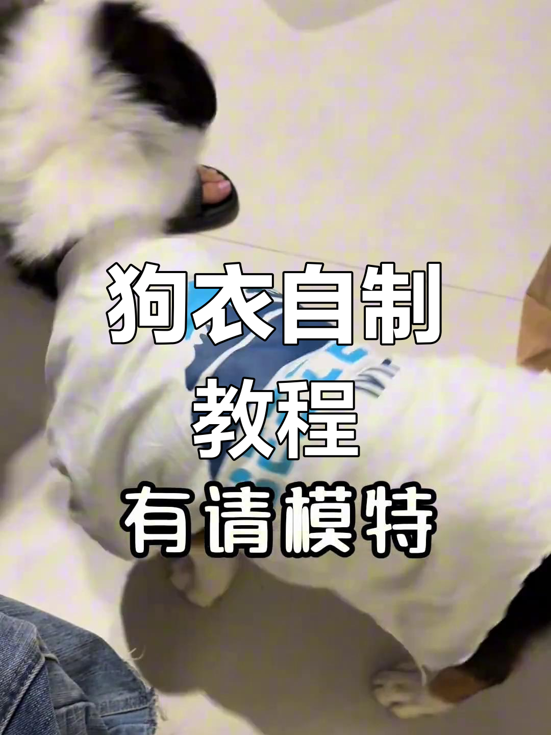 轻松DIY狗狗衣服,手残党也能搞定!